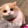 小北的头像