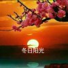 冬日阳光（退出）的头像