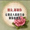 快乐天使的头像