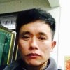 一棵大树，的头像