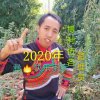 彝快乐家族总创好心情的头像