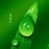 華注定的头像