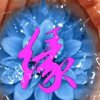 相识是缘的头像