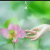 夏日的风的头像