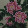 后来的头像