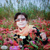 燕晴的头像