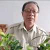 老记的头像