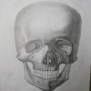 骷髅的头像