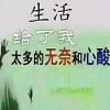 天涯浪子的头像