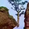 老昵的头像