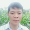 大阳273362的头像