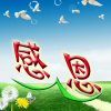 感恩的心的头像