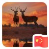 兴子的头像