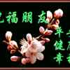 开心每一天111的头像