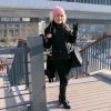 冰雪杜鹃的头像