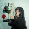 remix的头像