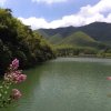 燕归来的头像