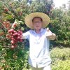 无言的头像
