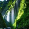 河北大名粮丰有限公司。的头像