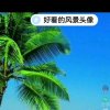 人海之中的头像
