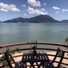 小蔡的头像