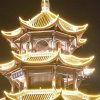 年年有余的头像