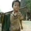 露飞鹰的头像