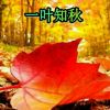 一葉知秋的头像
