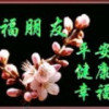 梧桐枫翎的头像
