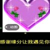 独行天下的头像
