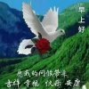 明亮潇洒的头像