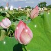 余生休、 的头像