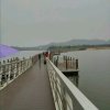 青山绿水的头像