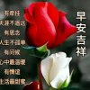 倾心家族爱的守护的头像