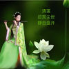清莲的头像
