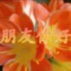 春的希望的头像