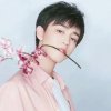 Young初心的头像