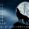 寂寞 狼君的头像