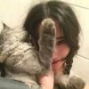 像风的头像