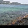 向前看向后赚的头像