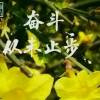 梦回故乡的头像