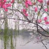春华秋实的头像