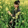 开心的笨女人的头像