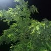 二壮《退》的头像