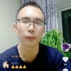 经典梧桐（随缘）的头像