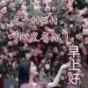 雪里梅花的头像