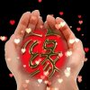 静待花开的头像