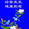 青松的头像