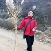 沙漠的落日的头像