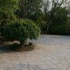 青春永驻的头像